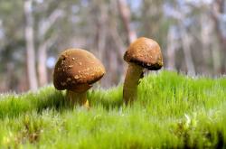 爱游戏官方入口-孤阳不落，新王未立，当太阳遇上字母哥式的闪电风暴