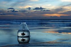 爱游戏入口-命运之夜，阿尔瓦雷斯在德甲争冠战的废墟之上起舞