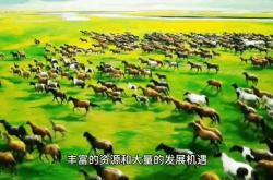爱游戏体育-丹麦一鼓作气赢得胜利，实力不容小觑的简单介绍