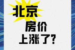 爱游戏tv-球队战绩逐渐回升，反弹迹象明显