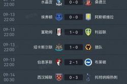 爱游戏大厅-利物浦球迷狂欢庆祝胜利，球队攀升积分榜的简单介绍