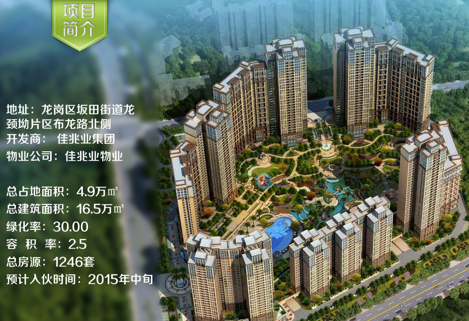 包含深圳佳兆业击败重庆力帆，稳固中下游位置的词条