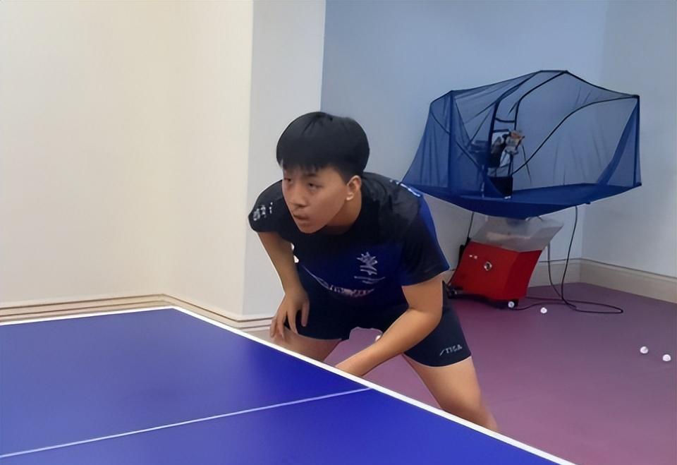 体育新星崭露头角，令人期待未来的简单介绍