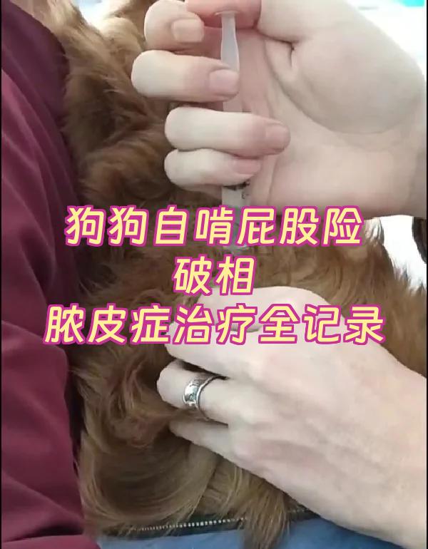 关于坡城遭险与利，比擦场战绩额皮的信息