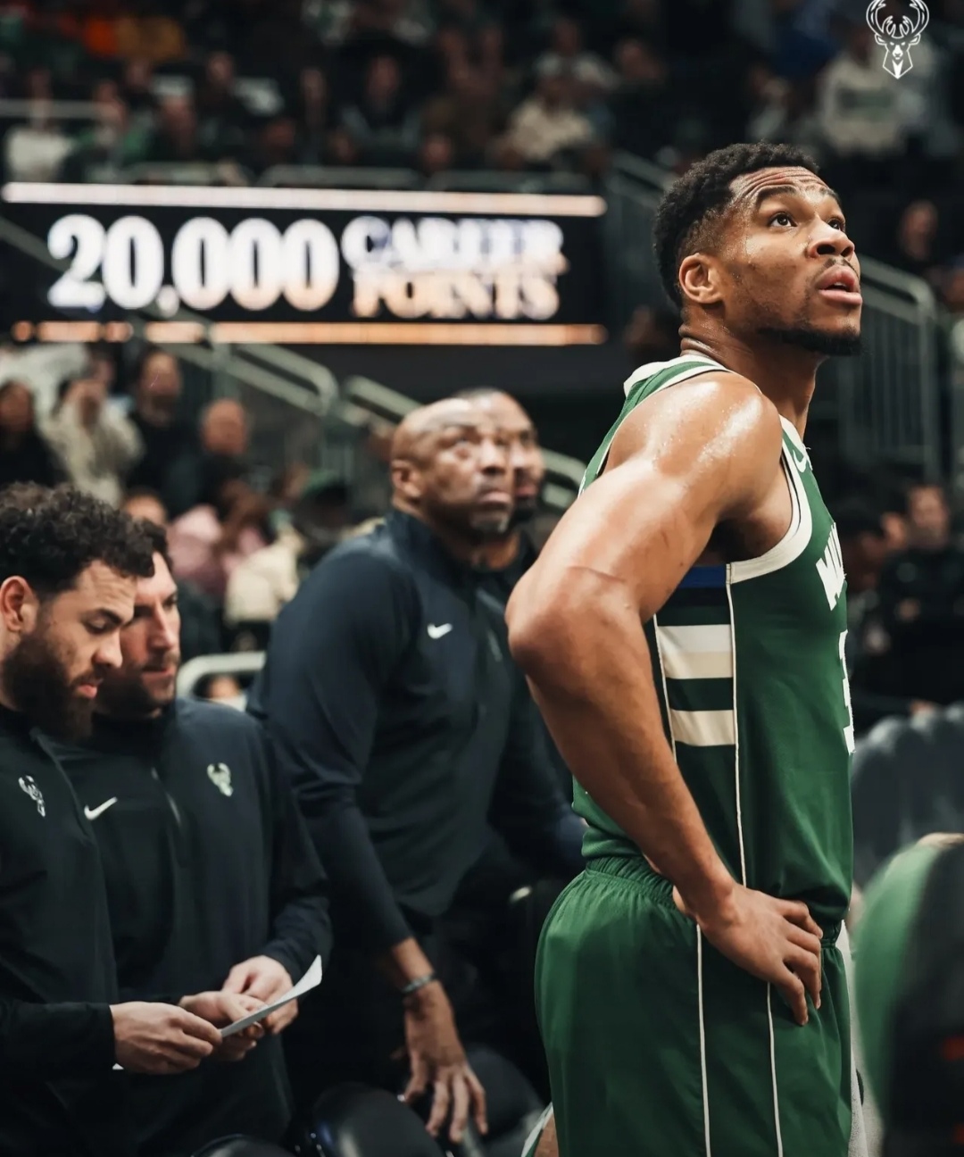 雄鹿战胜活塞，字母哥全面发威的简单介绍