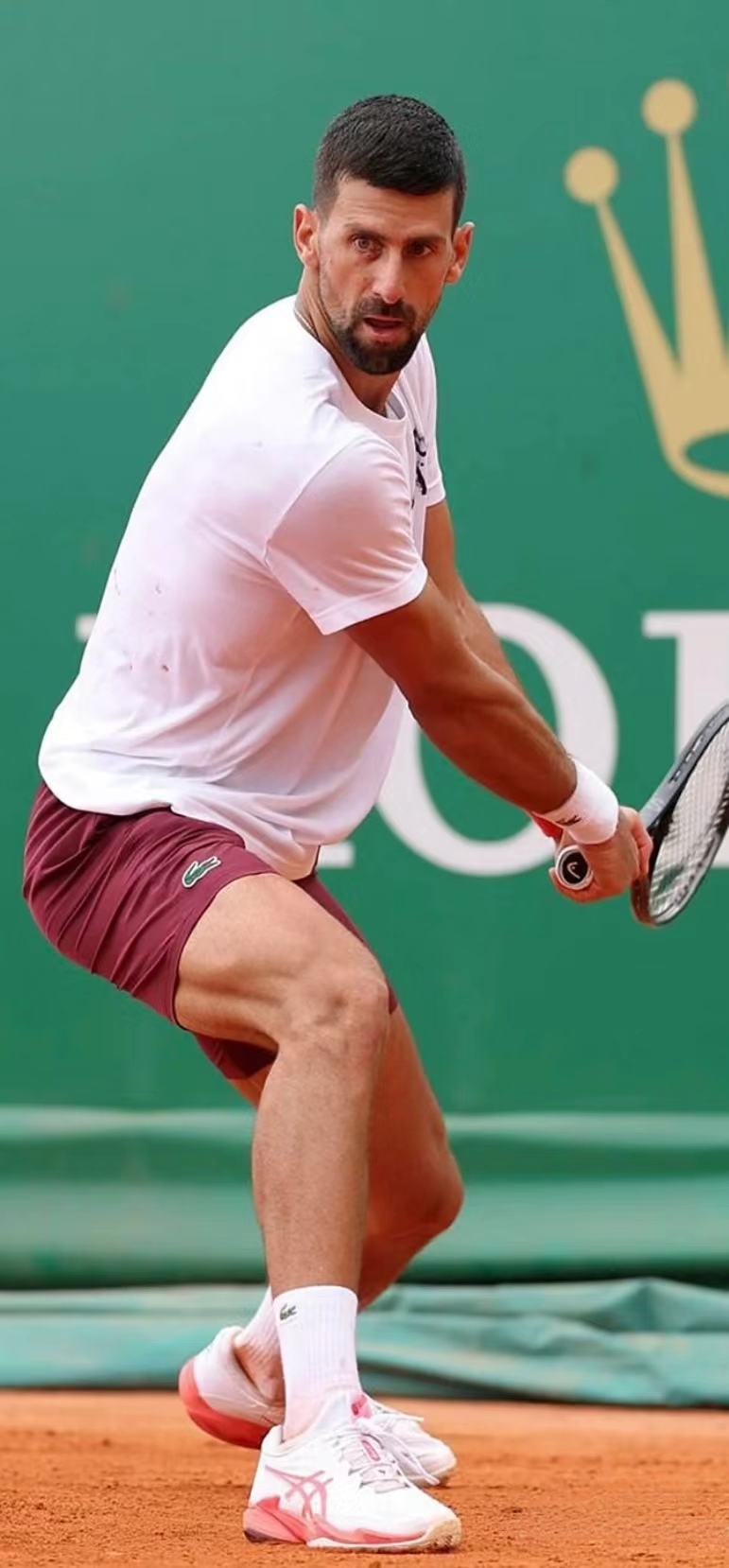 蒙特卡洛大师赛鏖战美网，德约科维奇状态火热