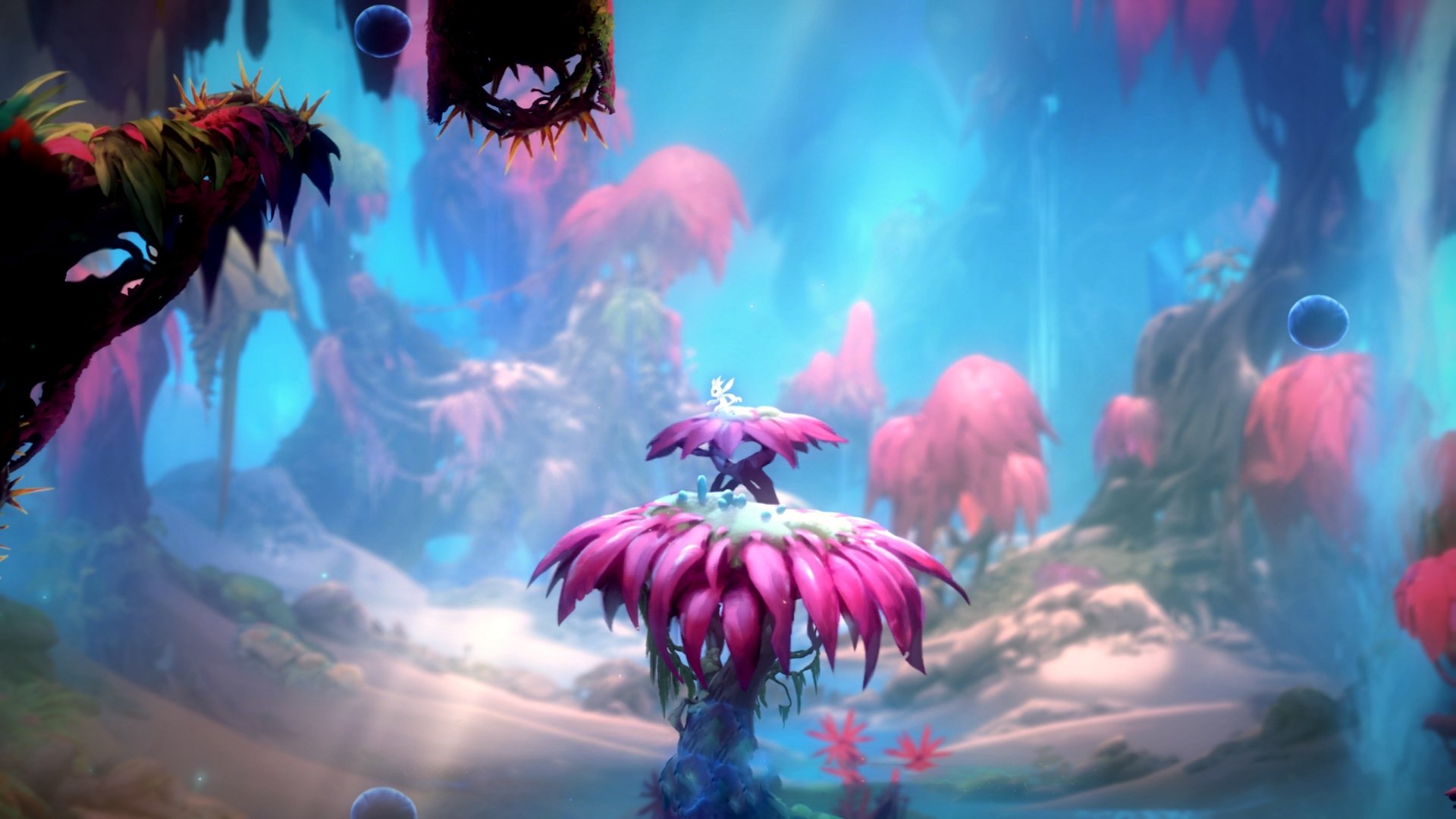 篮球今日双重奏，范弗利特书写孤星传奇，快船上演绝杀心跳