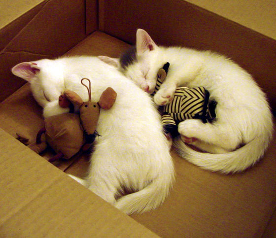 姆巴佩单骑破局，巴萨压制美学击碎曼城