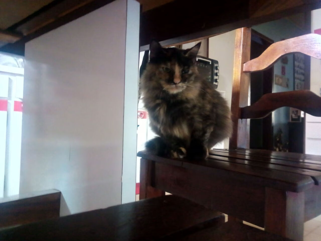 末节狂潮！英格拉姆独揽19分导演逆转，鹈鹕力克新疆取关键胜利