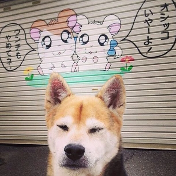 贝恩狂轰38分创生涯新高！活塞爆冷狂胜森林狼