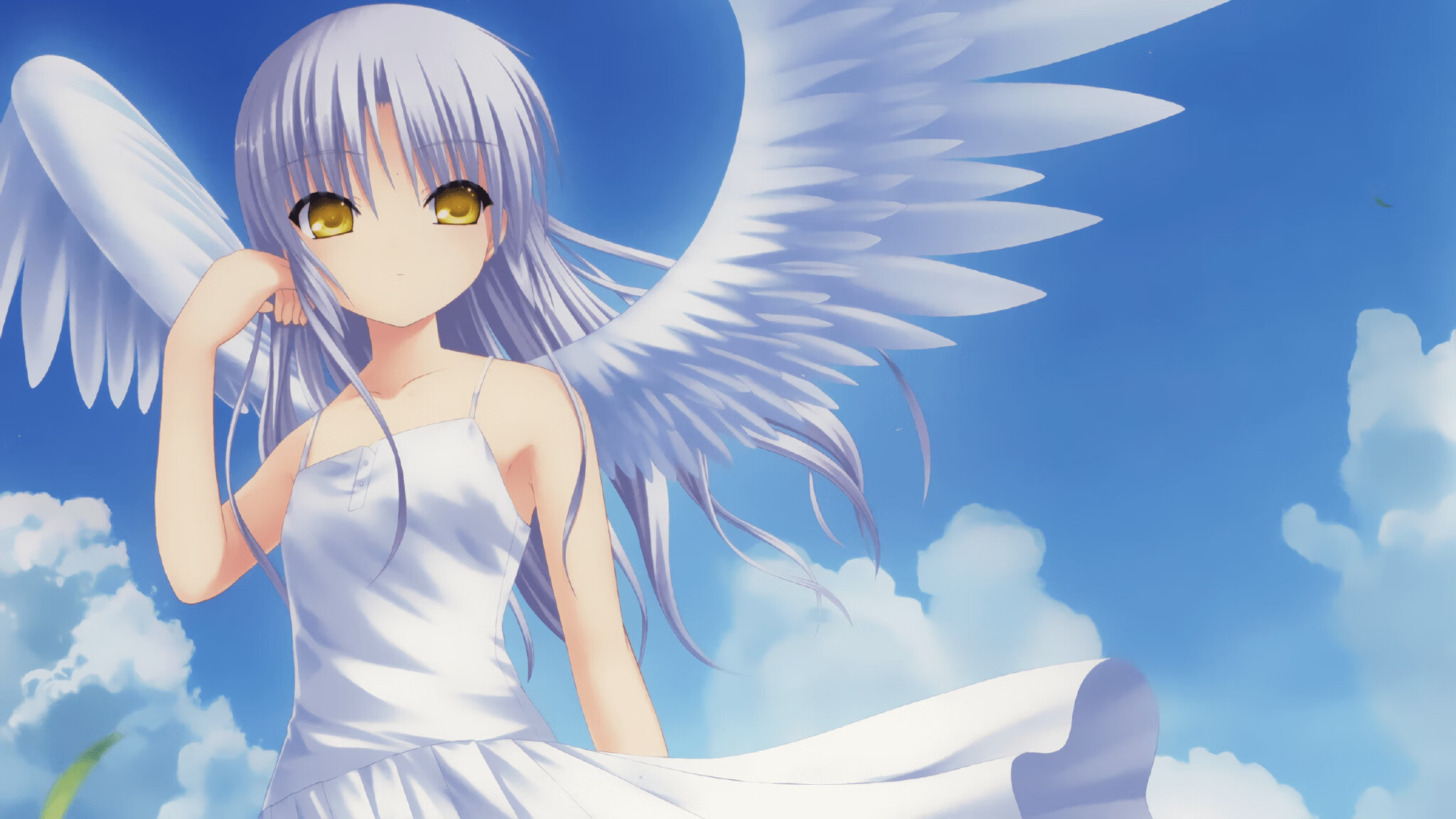 东西方篮球同一开拓内核，在淘汰的刀锋上开出倔强之花