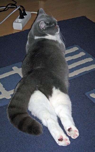 双线闪耀,挪威的逆境突围与佩德里的致命接管